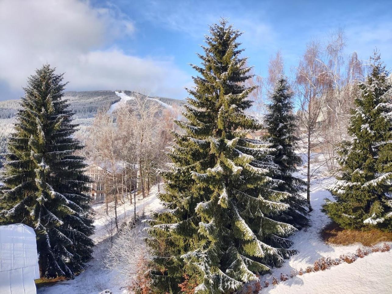 Kubu 3 Samostatny S Kuchyni